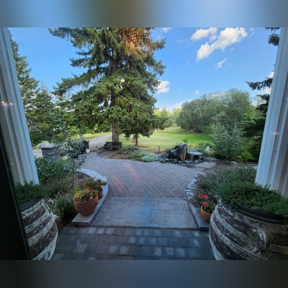 Meet your Posher, Bridget - Picture 2 of 2